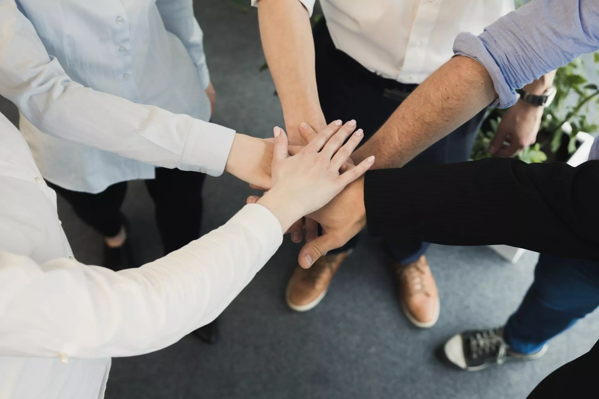 Тимбилдинги